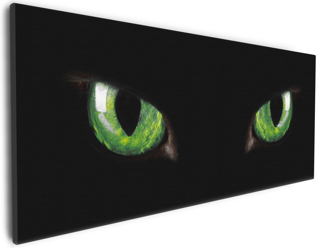 Wallario Premium Leinwandbild Grüne Katzenaugen bei Nacht Produktbild 