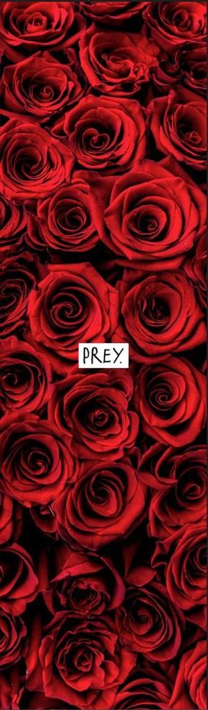 Grip - Sk8 - Griptape - Rosen - Beute