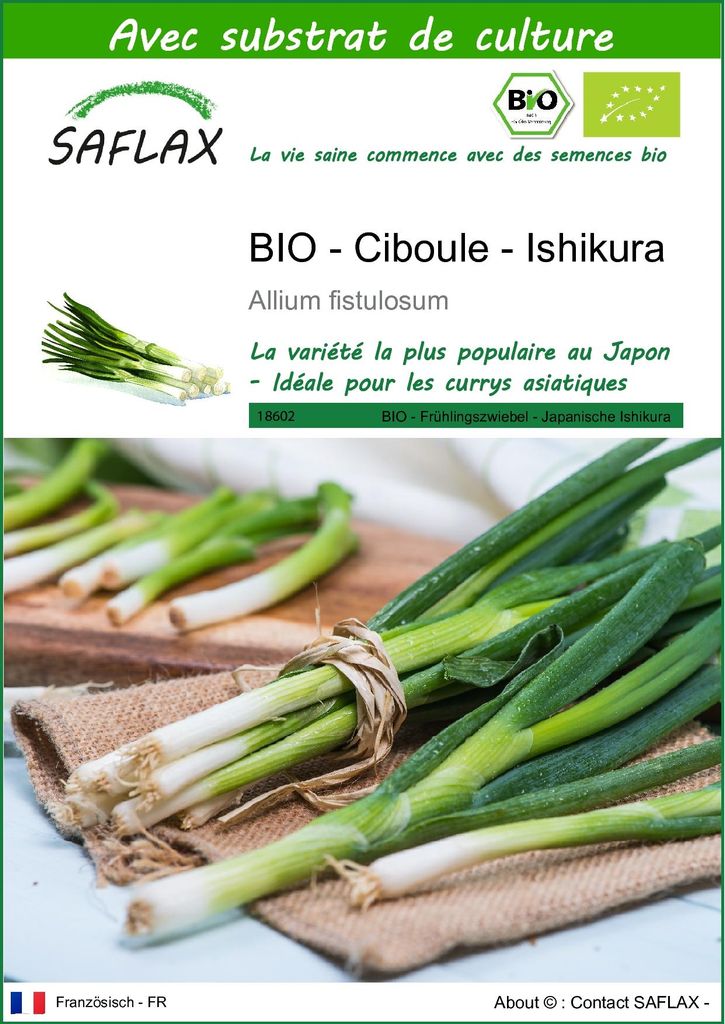 SAFLAX  -- Ciboule - Ishikura - 150 graines - Avec substrat Image du produit 