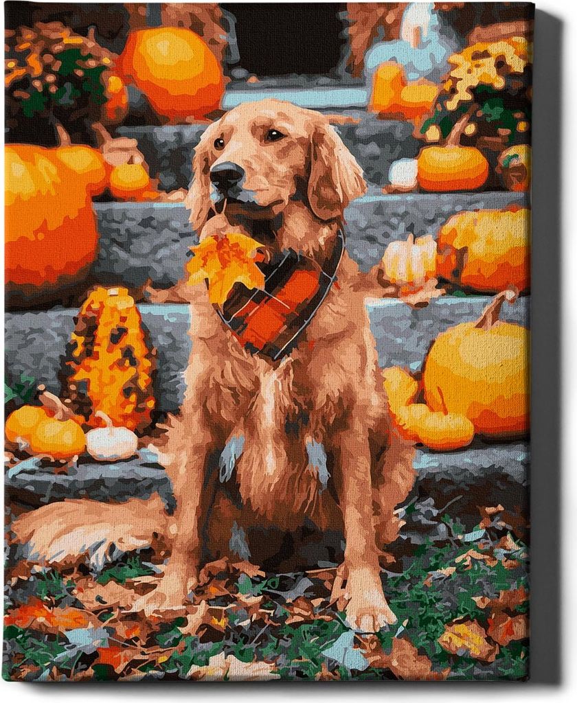 Oh Art! – Malen nach Zahlen Set Hund – 40x50cm, mit Produktbild 