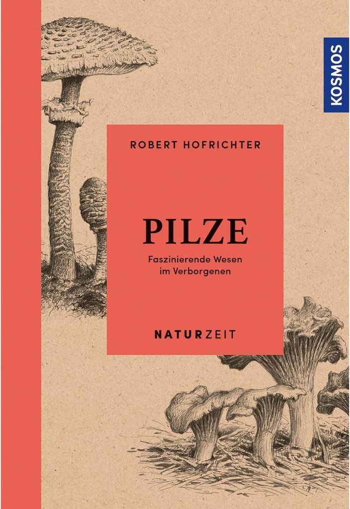 Naturzeit Pilze