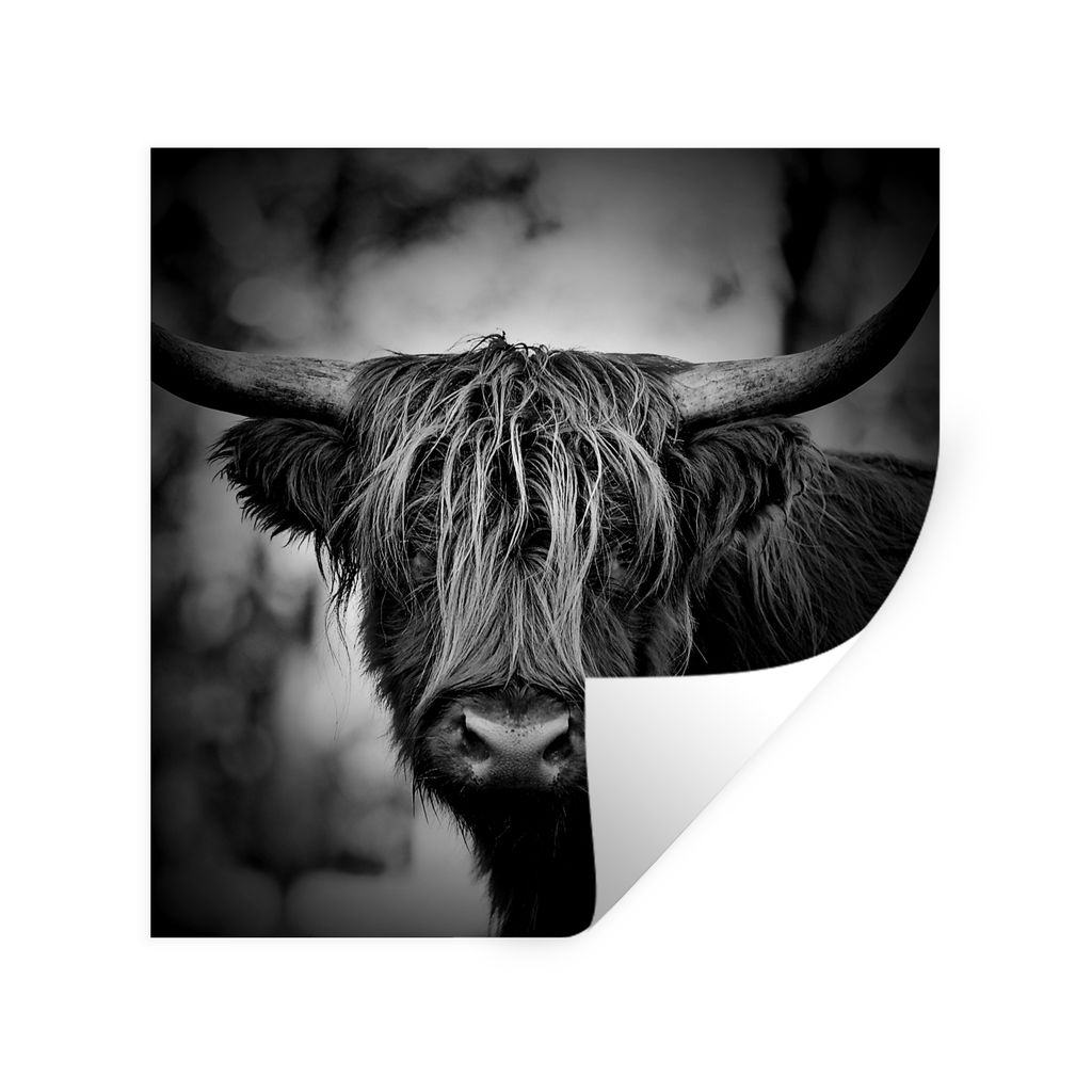 MuchoWow Wandtattoo Wandsticker Wandaufkleber Schottischer Hochländer - Licht - Porträt - Natur 50x50 cm Selbstklebend und Repositionierbar - S...