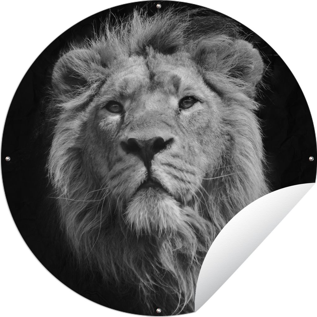 MuchoWow Gartenposter Outdoor-Poster Rund Löwe - Porträt - Schwarz - Weiß Ø 120 cm Gartendeko Rundes Poster draußen
