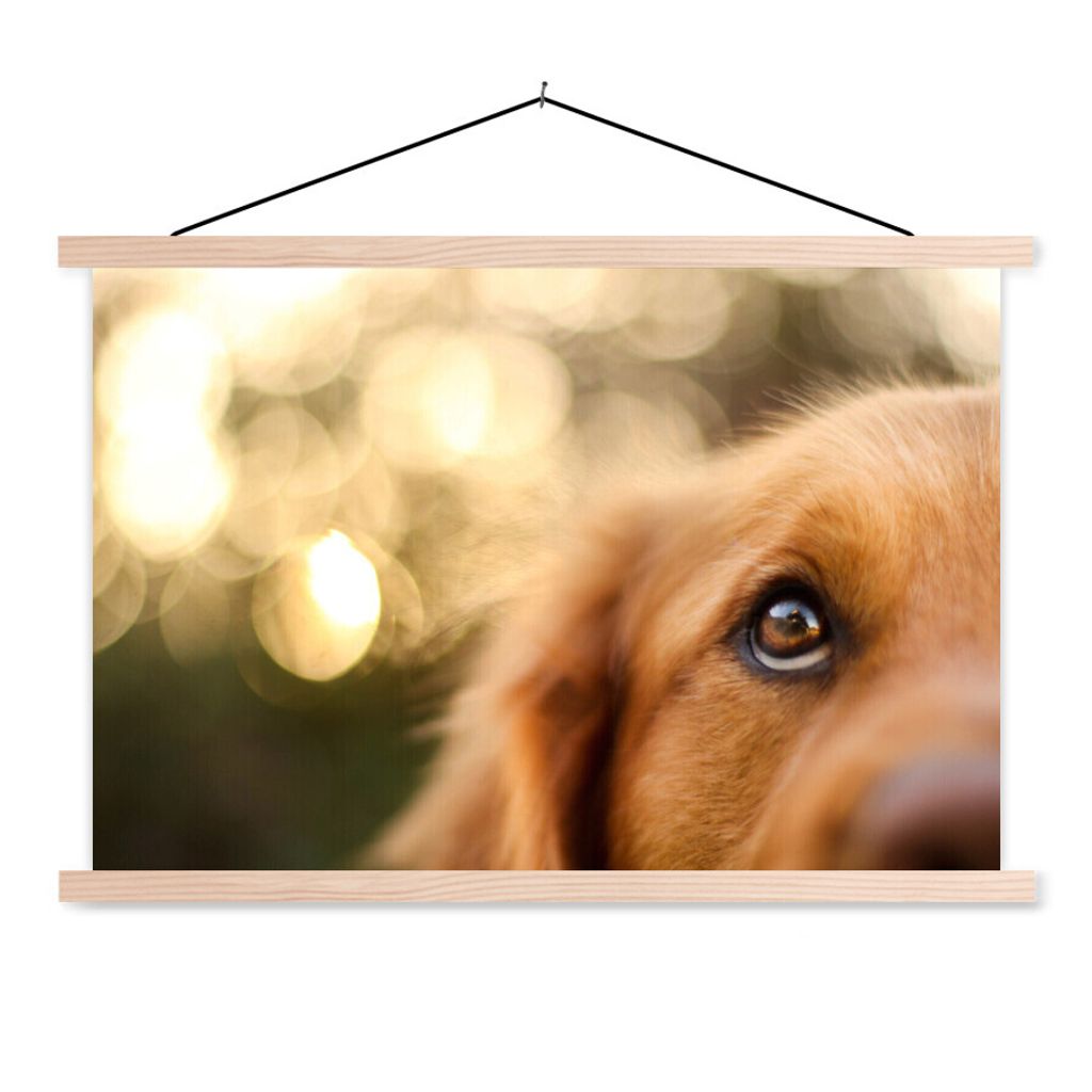 MuchoWow Textilposter Das Glitzern im Auge des Golden Retrievers 120x80 cm mit holzfarbenen Rahmen - Aufhängeset