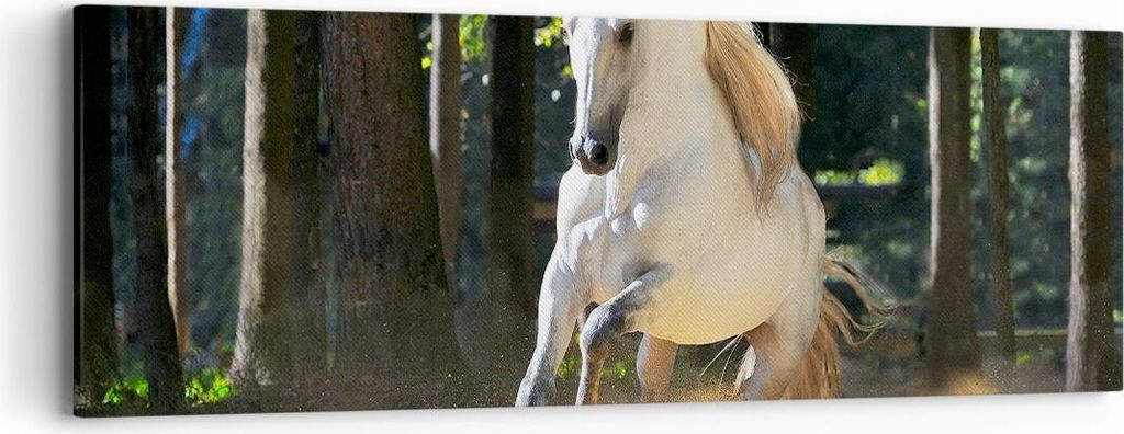 Bild auf Leinwand - Leinwandbild - Staub Emotionen Pferd Natur - 90x30cm - Wand Bild - Wanddeko - Leinwanddruck - Bilder - Kunstdruck - Wanddekorat...