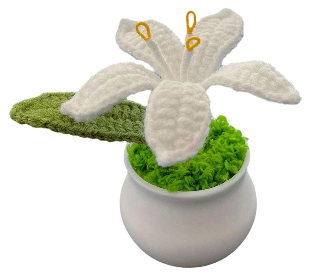 Gehäkelte Topfpflanze, künstliche gestrickte Lilie mit Topf, handgefertigtes Blumengeschenk für Mama, Lehrerin, Frauen, Freundinnen, Geburtstag,...