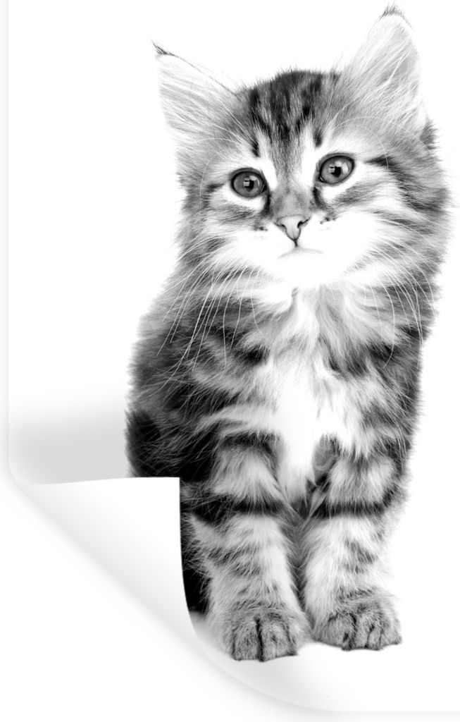 MuchoWow - Wierderverwendbar - Selbstklebend