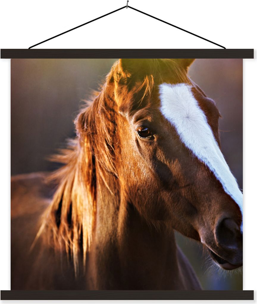 MuchoWow Textilposter Pferd - Licht - Mantel 60x60 cm mit schwarzem Rahmen - Posteraufhänger