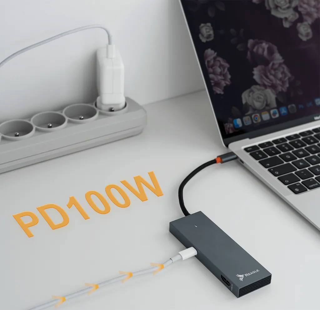 Docking Station USB-C Reagle 4K 60Hz HDMI 100W PD Alluminio - 3