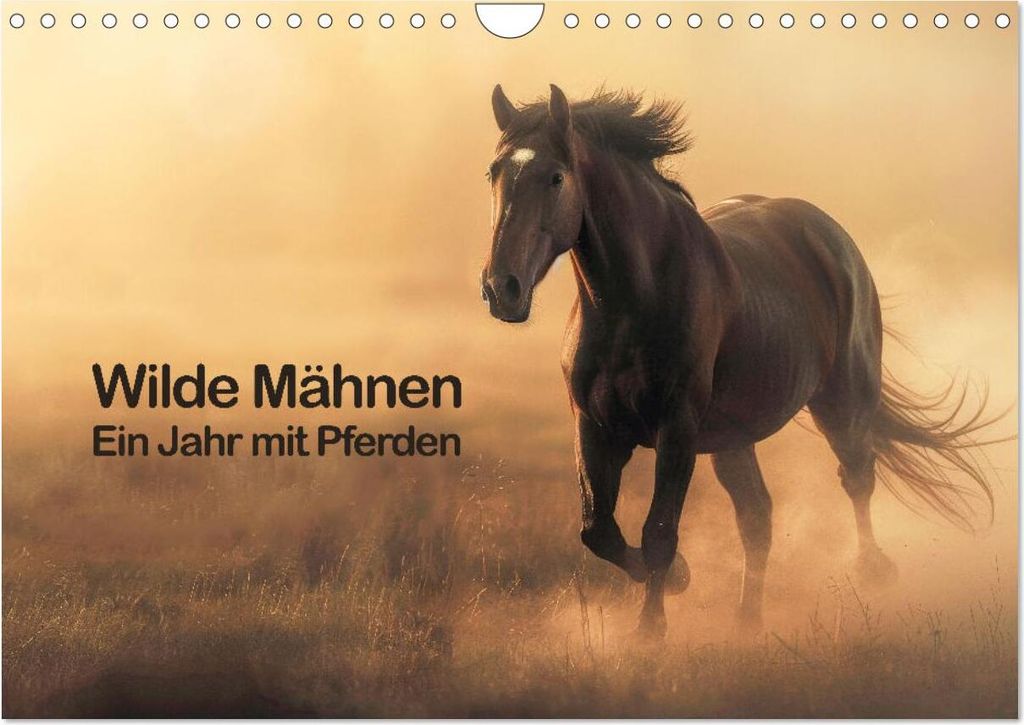Wilde Mähnen: Ein Jahr mit Pferden (Wandkalender 2026 DIN Produktbild 