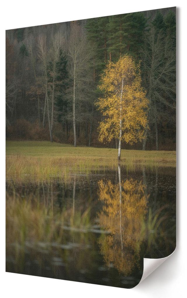 Herbstlandschaft- Kunstdruck A4 - Klassisch, rustikal- Wandbild für Wohnzimmer Schlafzimmer & Flur, Modernes Poster Wanddeko, Ungerahmt