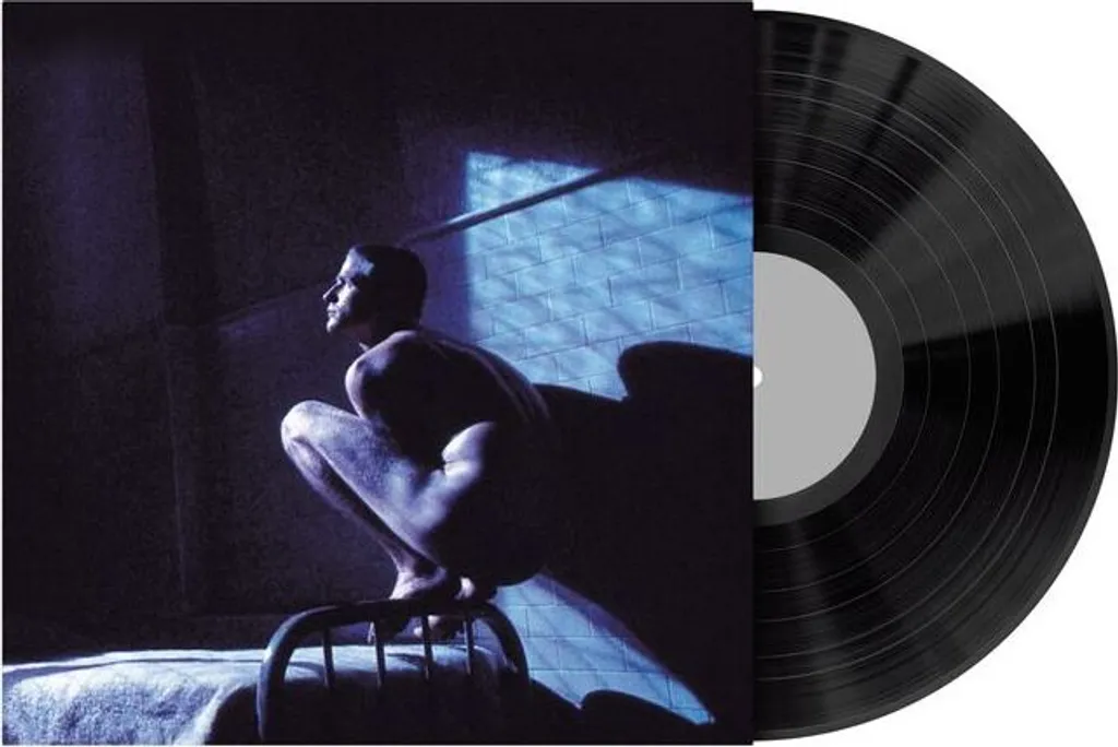Disque Vinyle Peter Gabriel Birdy LP sans Grésillements Son Pur