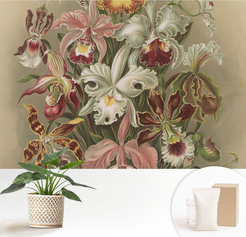 Fototapete - 152x104 cm - Tapete - Wandtapete - Wandbilder - Dekofolie - Tapete Folie - Wand - Dekoration - Wohnzimmer - Florale Eleganz