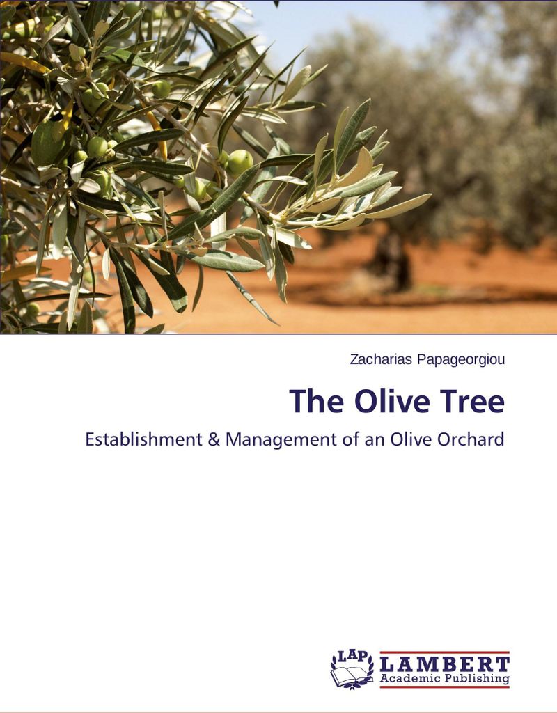 The Olive Tree