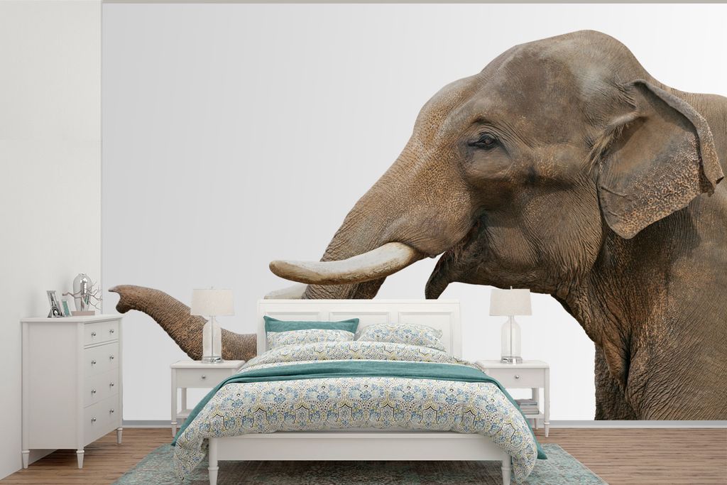 MuchoWow Fototapete für Wohnzimmer oder Schlafzimmer Wandtapete Vinyl Motivtapete Elefant - Zähne - Weiß - 525x350 cm - Das Hintergrundbild