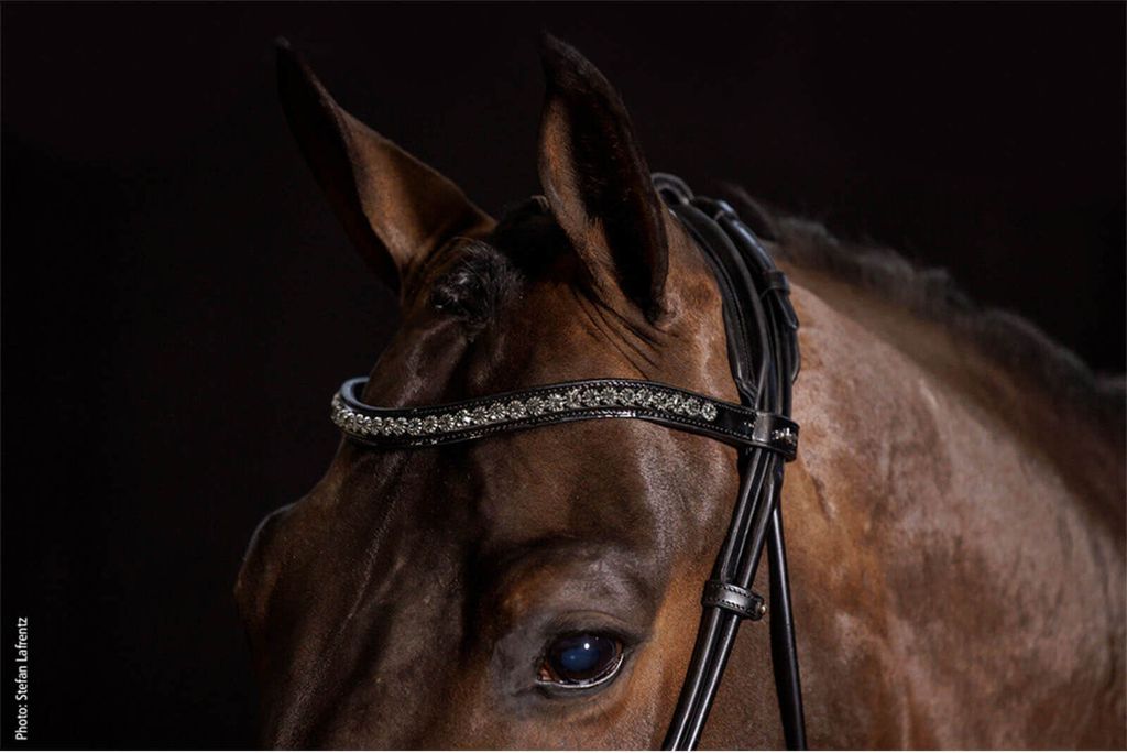 Schockemöhle Sportovní uzdečka Snaffle Westminster Obrázek produktu 5