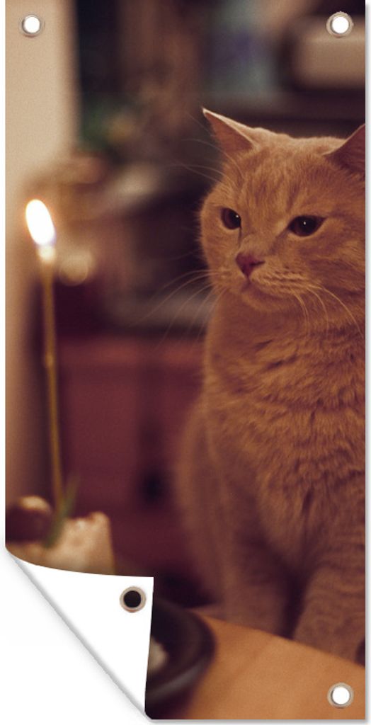 MuchoWow 30x60 cm Outdoor-Poster Gartendeko Sichtschutz Garten Poster für den Garten Katze - Geburtstag - Kerze