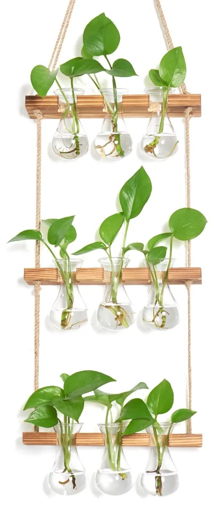 Station de bouturage en verre goutte - Lot de 3 vases design avec socle