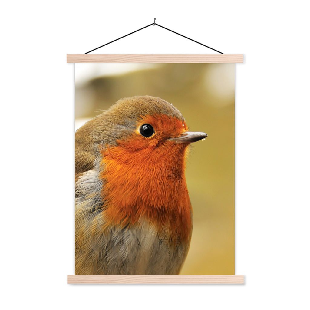 MuchoWow Textilposter Vogel - Rotkehlchen - Porträt 40x53 cm mit holzfarbenen Rahmen - Schlafzimmer