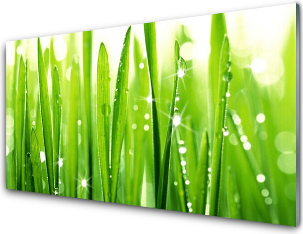 Acrylglasbilder 100x50 Wandbild Druck Gras Pflanzen Produktbild 