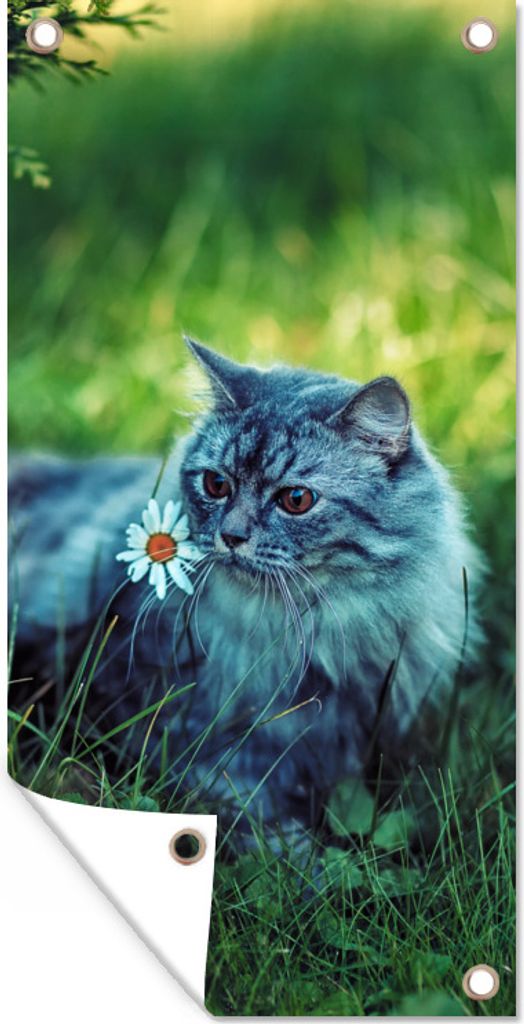 MuchoWow 80x160 cm Outdoor-Poster Gartendeko Sichtschutz Garten Poster für den Garten Graue Katze