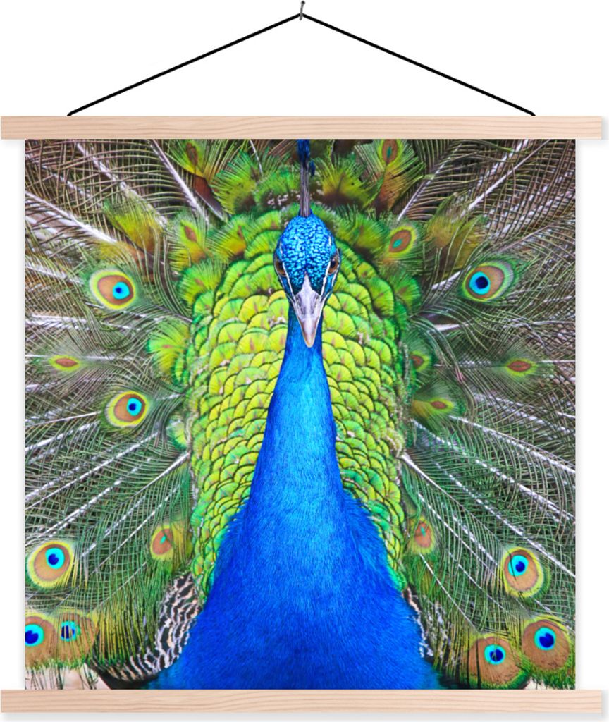 MuchoWow Textilposter Pfau - Blau - Grün 120x120 cm mit holzfarbenen Rahmen - Textil-Poster