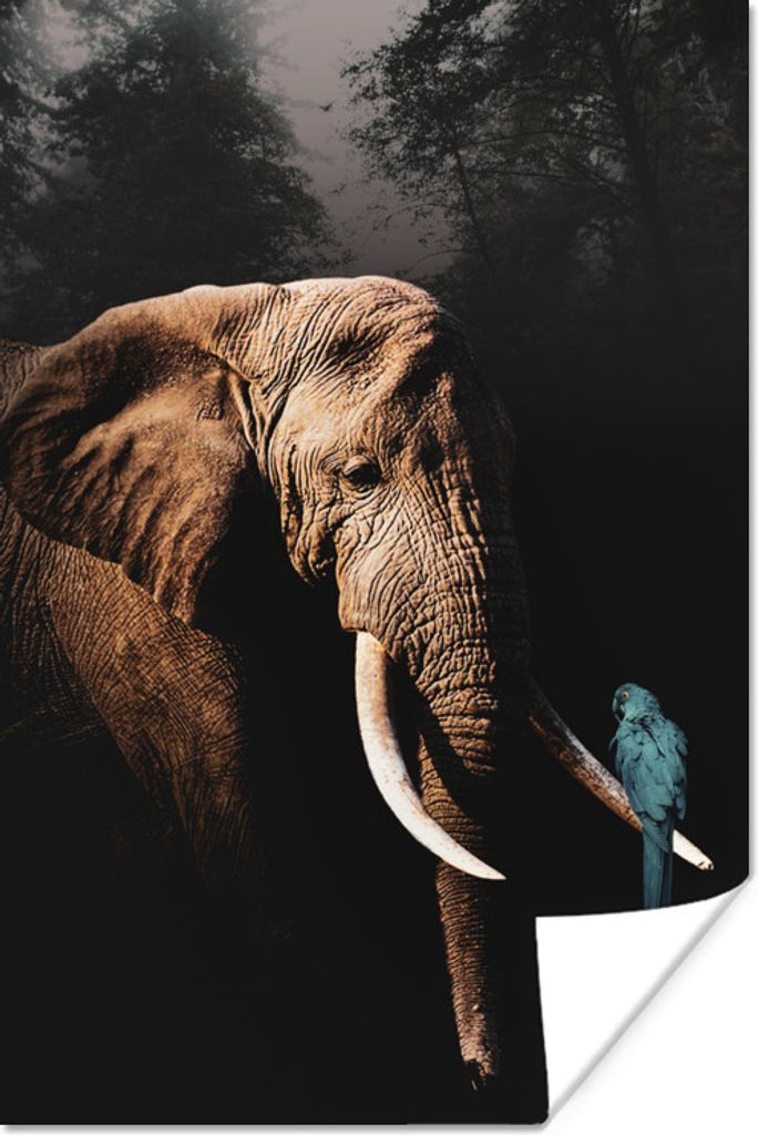 MuchoWow Poster Elefant - Papagei - Baum 40x60 cm - Plakate für die Wand - Poster Babyzimmer