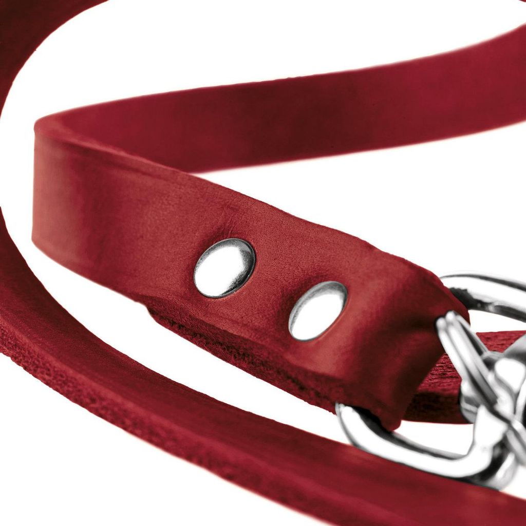 Hunter Verstellbare Führleine Aalborg rot, Maße: 16 mm / Produktbild 