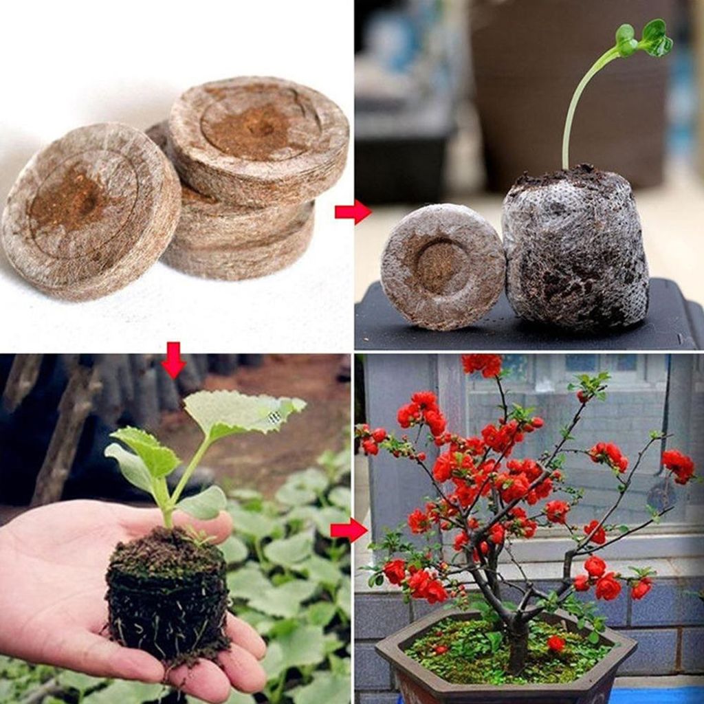 Baumschulblöcke GRANDE DE SEMBRE PLIGS SOILS PLANTES FIBRE NURSERY BLOCS jardin detachee