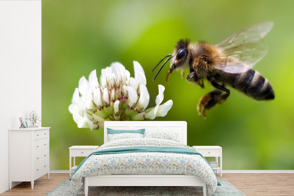 MuchoWow Fototapete für Wohnzimmer oder Schlafzimmer Wandtapete Vinyl Motivtapete Nahaufnahme einer Biene mit einer weißen Blume - 360x240 cm -...