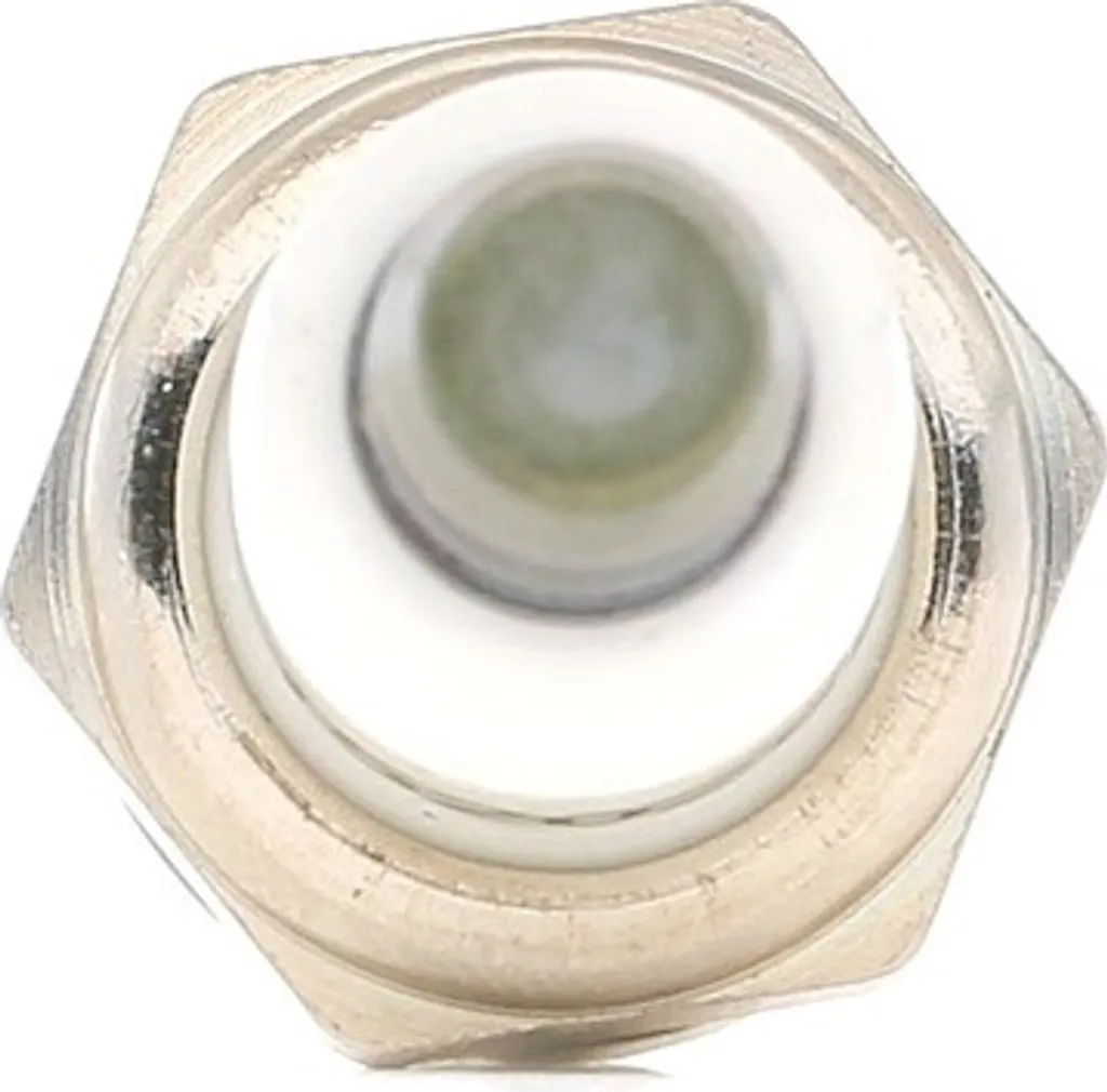 RIDEX 686S0046 Candela Accensione Platino - Compatibile Ford Mazda Volvo