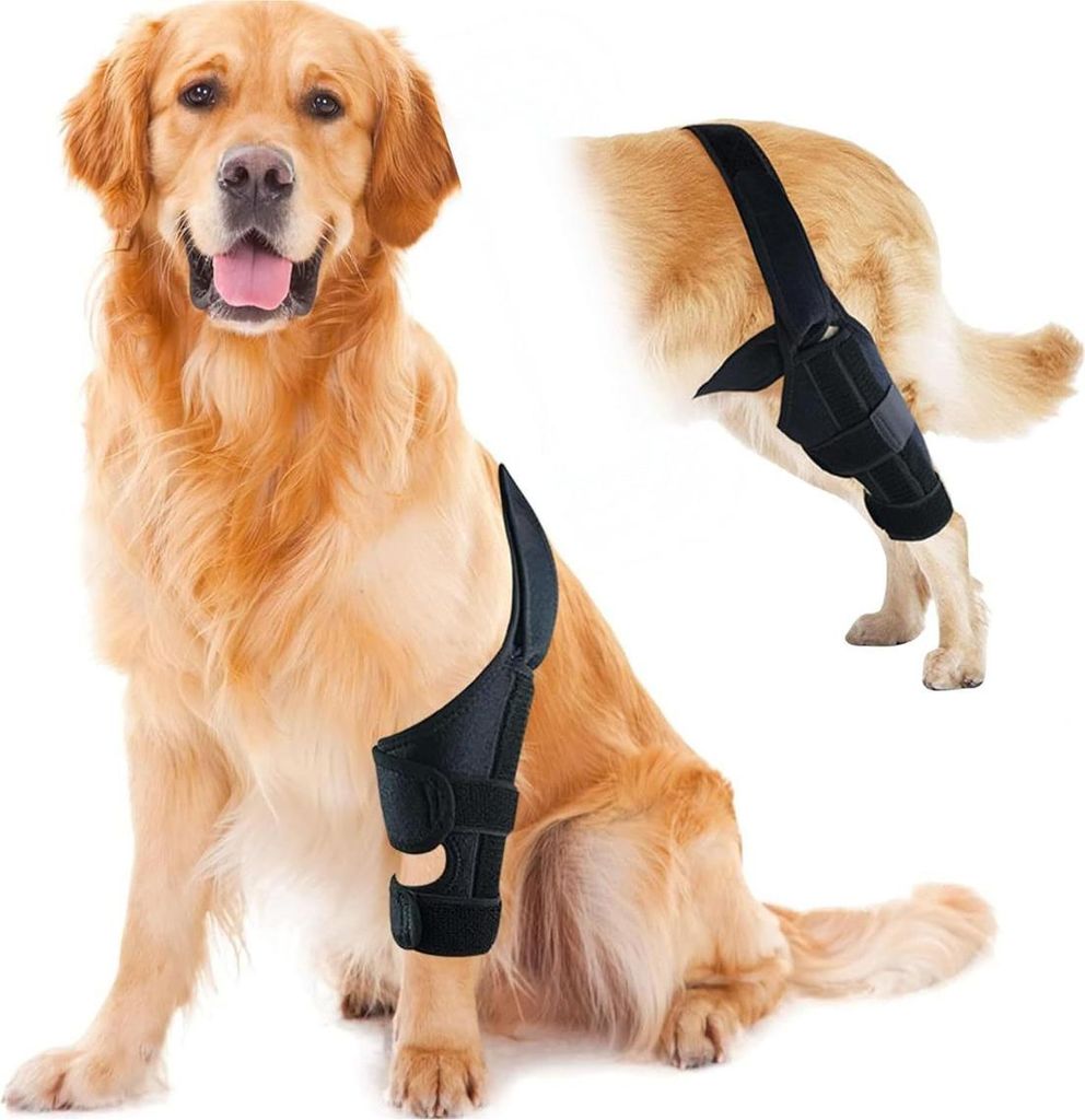 INF Hundebeinstütze für Frakturen - Neopren Unterstützung zur Genesung S