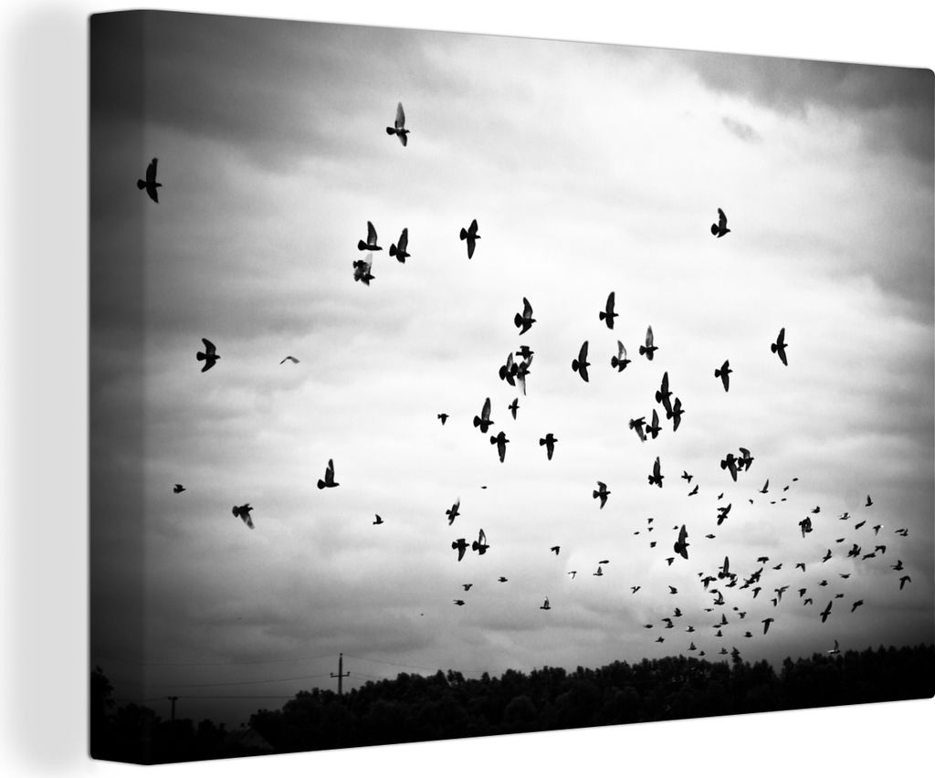 OneMillionCanvasses - Leinwandbilder - 140x90 cm, Tiere - Vögel - Wolken - Schwarz - Weiß, Wandbilder Kunstdruck Wanddekoration - Foto auf Lein...