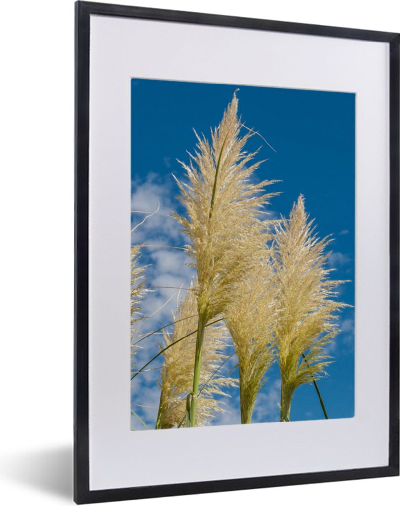 MuchoWow Gerahmtes Poster Pflanzen - Pampasgras - Luft 30x40 cm - Poster mit Schwarzem Bilderrahmen Wandposter Rahmen Foto Bilder - Wandposter Sc...