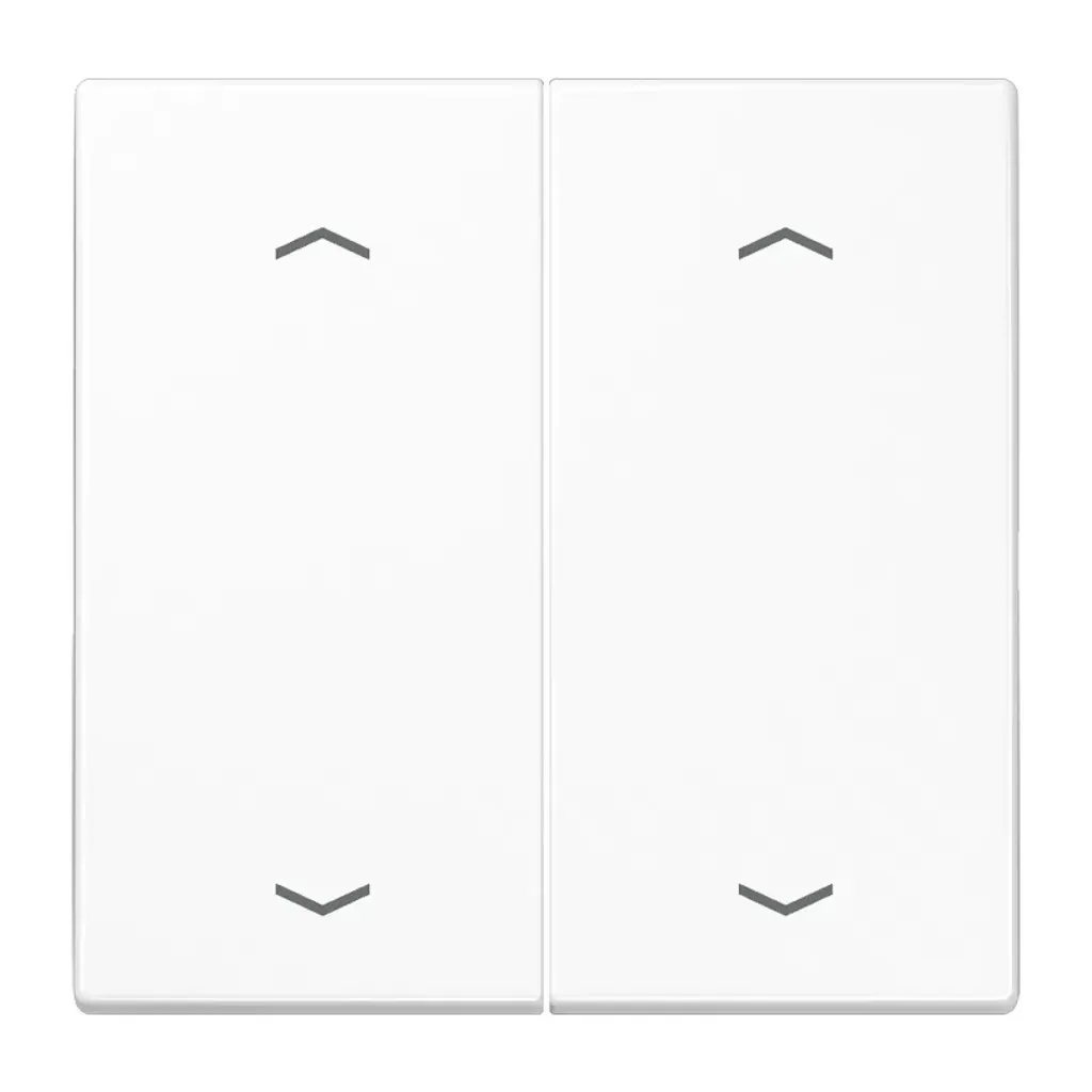 Jung LS102PWW Bascule avec Flèches pour Bouton-Poussoir Série LS Blanc