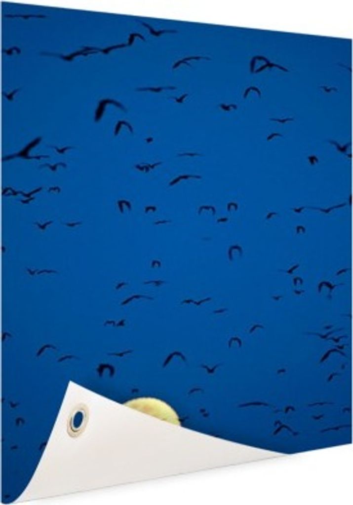 Gartenposter - 40x60 cm - Fledermäuse für Vollmond - Modernes Wandbilder - Wilde Tierposter