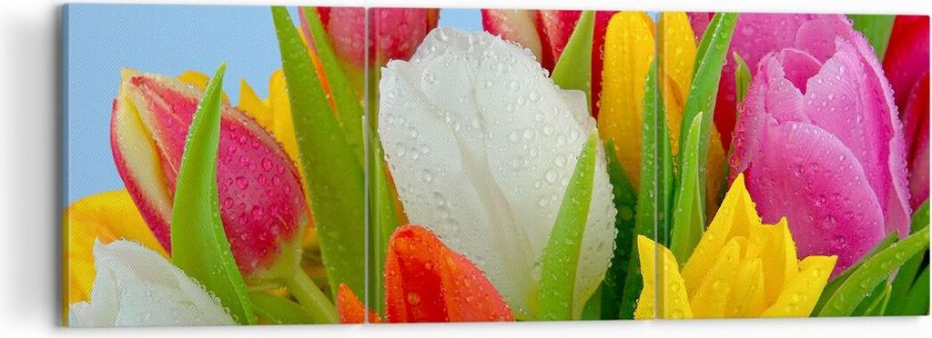 Bild auf Leinwand - Leinwandbild - Tulpen Blumenstrauß Blumen Tau - 120x40cm - Wand Bild - Wanddeko - Leinwanddruck - Bilder - Kunstdruck - Wandde...