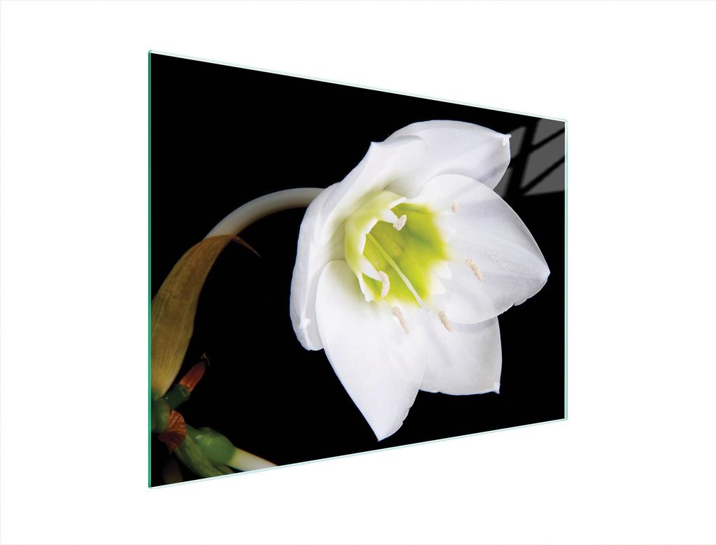 Glasschneidebrett 40x30 Orchidee