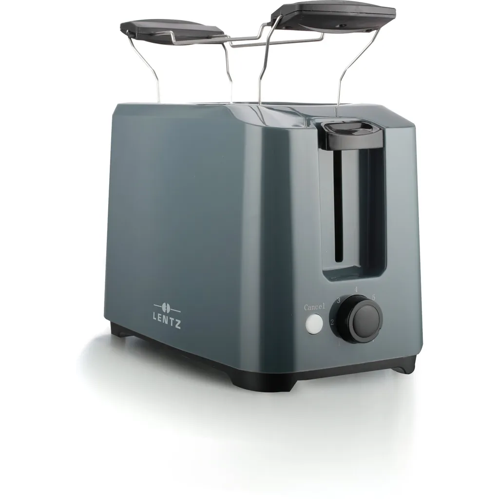 LENTZ Tostapane 2 Fette 700W Grigio: Pulizia Facile e 7 Livelli
