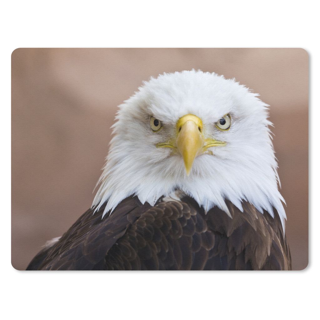 MuchoWow Mauspad Mousepad Amerikanischer Weißkopfseeadler schaut direkt in die Kamera 23x19 cm - Mousepads - Maus Mat - Pad - Mausunterlage - Sc...