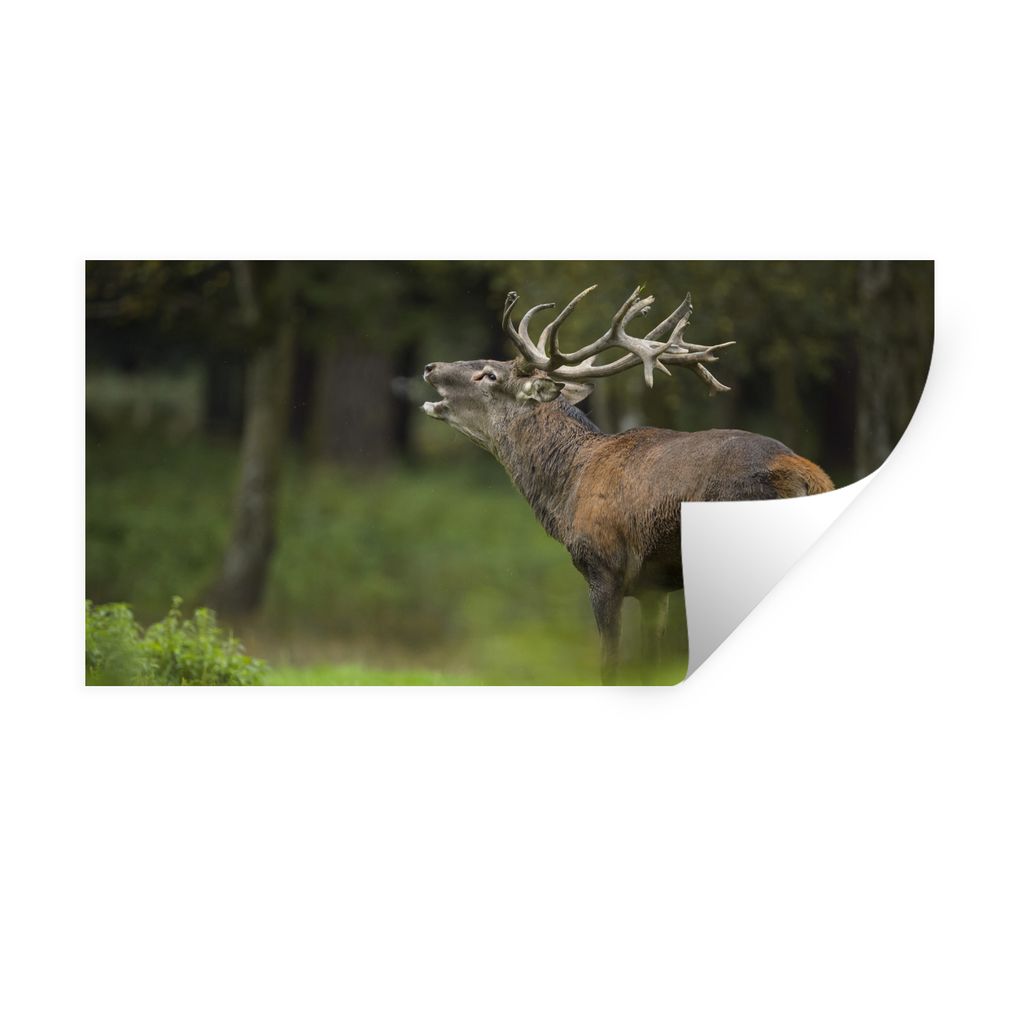 MuchoWow Wandtattoo Wandsticker Wandaufkleber Elch - Wald - Porträt 40x20 cm Selbstklebend und Repositionierbar - Aufkleber