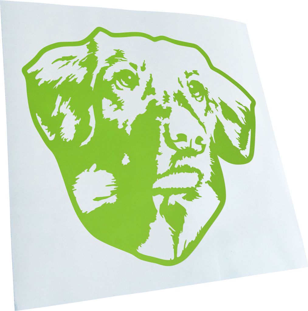 Kiwistar - Autoaufkleber - Nova scotia duck trolling retriever - Lichtblau - 11x10cm - Aufkleber für Auto, Laptop, Fahrrad, LKW, Motorrad mehrfarb...