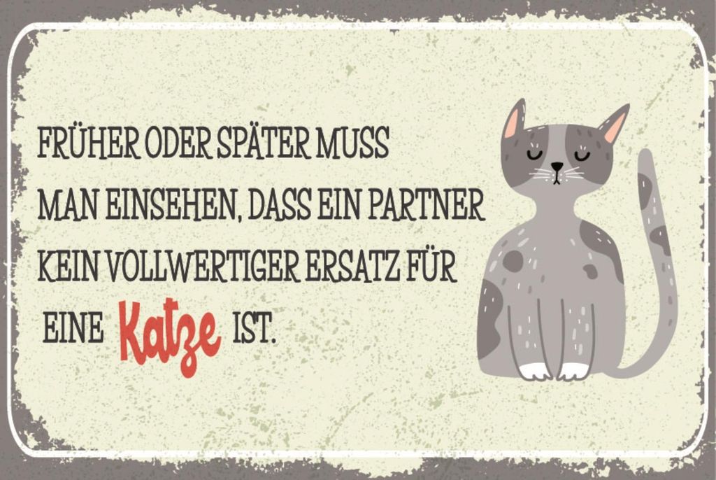 vianmo Holzschild 30x40 cm Kein ersatz für Katze Schild