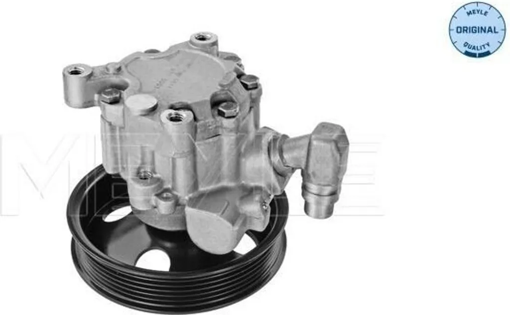 Pompe de Direction Assistée MEYLE 014 631 0003 pour Mercedes W220 R230