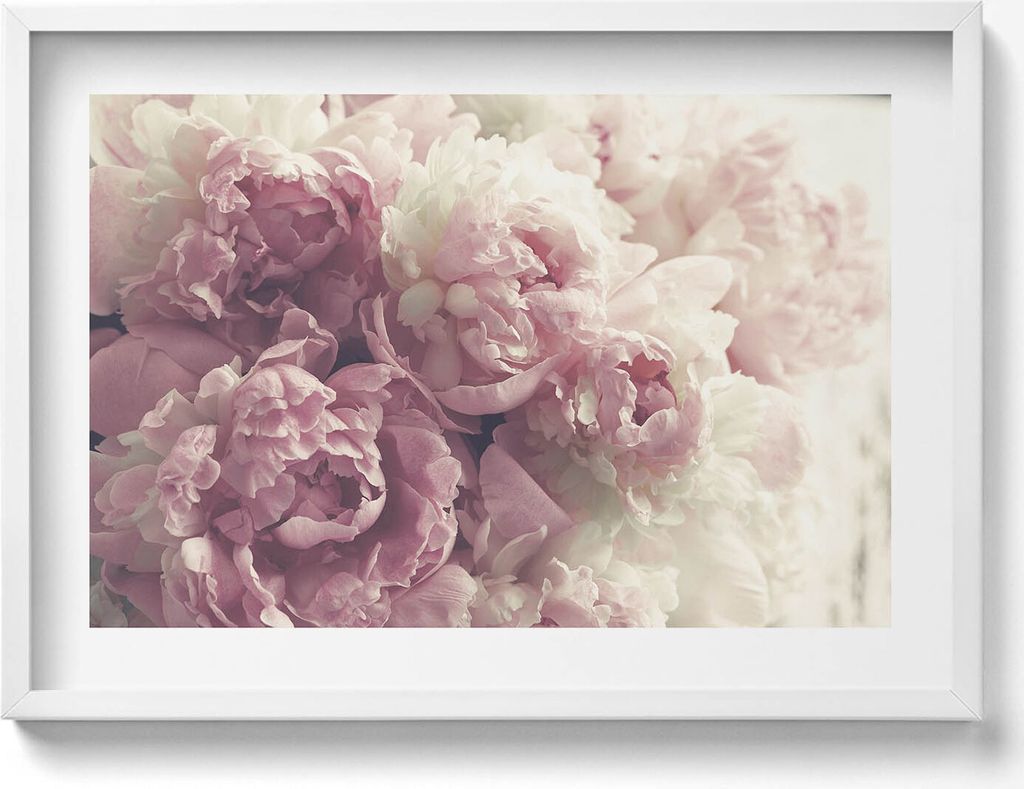 Subtile Blumen Pfingstrosen– Wandbild mit Rahmen – Gerahmtes Bild – Wanddekoration – 70x50 cm – Schwarz Rahmen