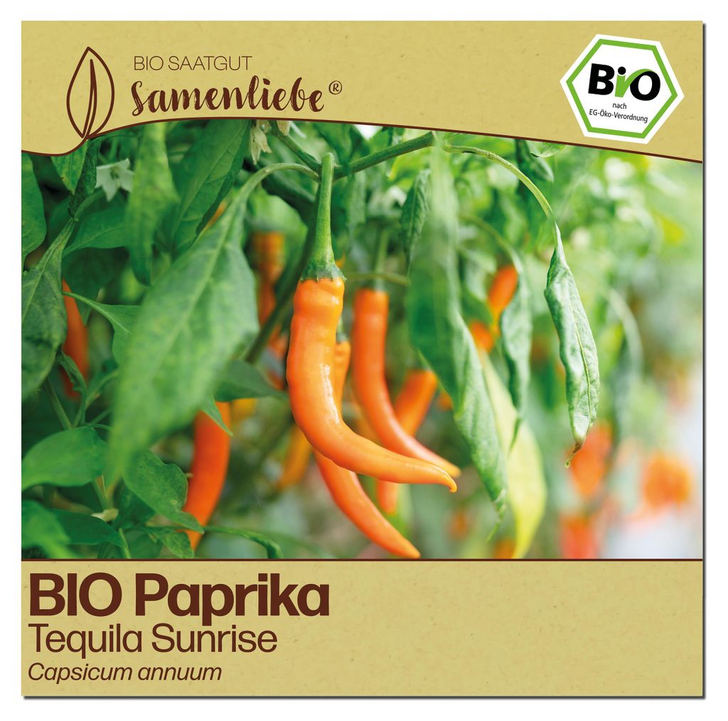 Samenliebe  Paprika Samen | Tequila Sunrise - orange & süß Produktbild 