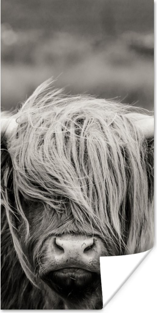 MuchoWow Poster Schottischer Highlander - Kuh - Tiere - Schwarz-Weiß - Ländlich 20x40 cm - Plakat - Foto