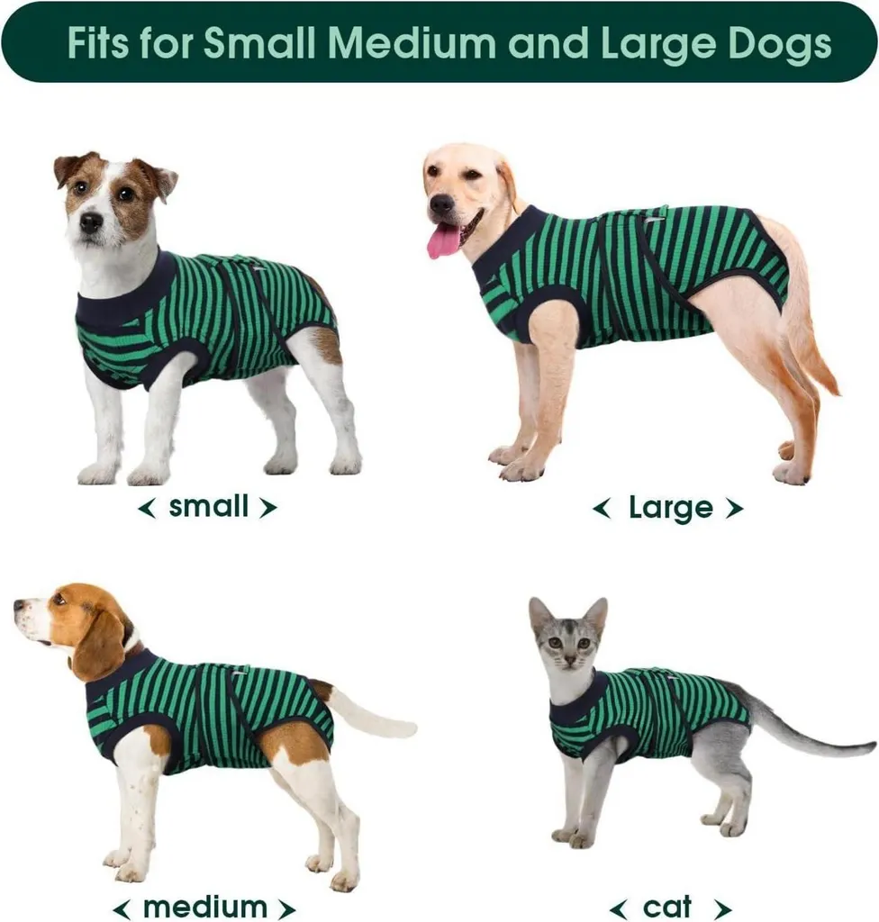 Combinaison de récupération pour chien XXL vert post-stérilisation