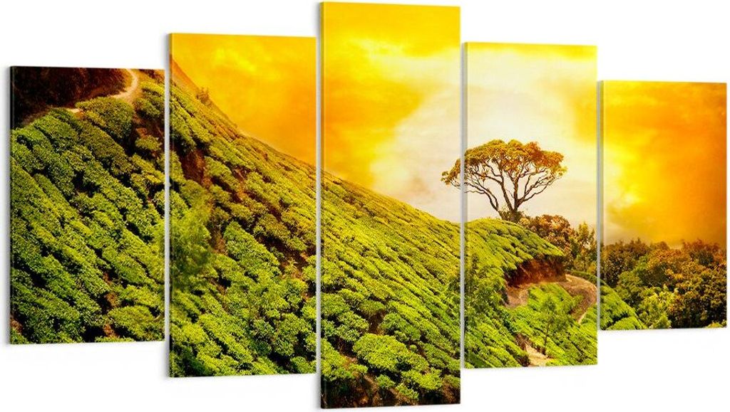 Bild auf Leinwand - Leinwandbild - Berg Baum Pfad Hügel - 160x85cm - Wand Bild - Wanddeko - Leinwanddruck - Bilder - Kunstdruck - Wanddekoration -...