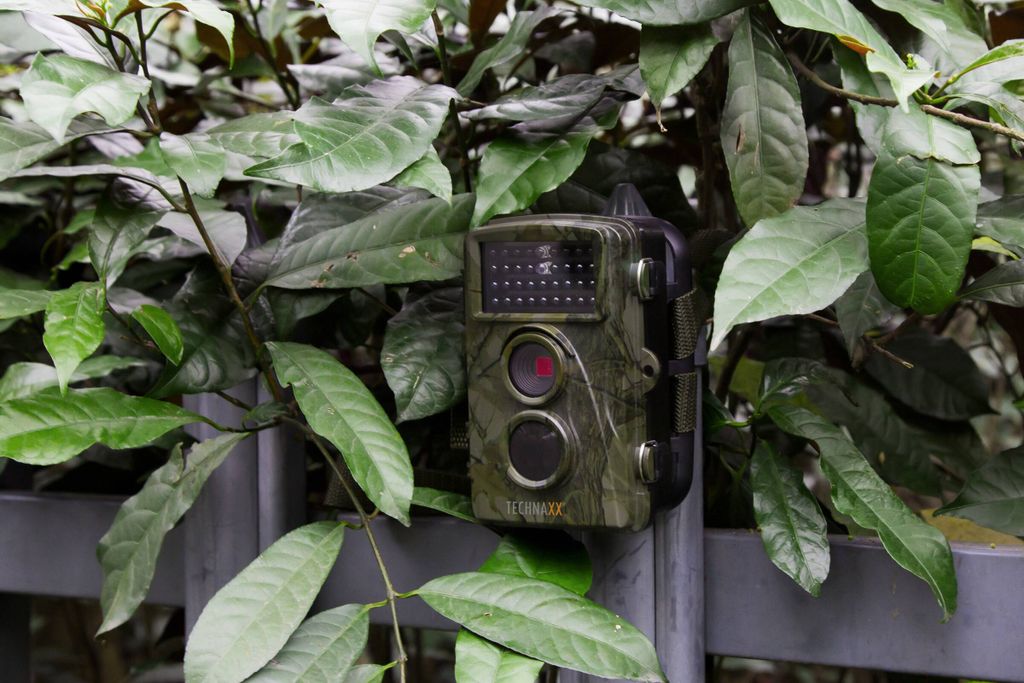 Technaxx Überwachungskamera Nature Wild Cam TX-69, Farbe: Produktbild 9